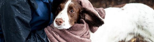 Cleaning & Drying Towel